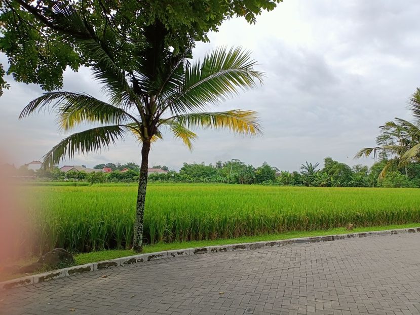 IMG20250521100334 - 3 Jogjakarta 2