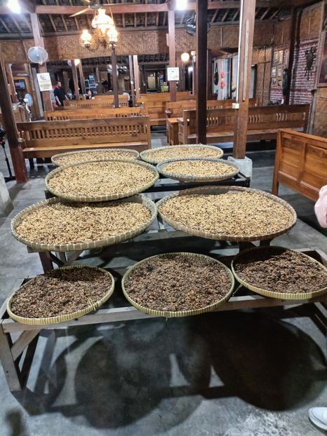 IMG20250521134313 - 4 Prambanan