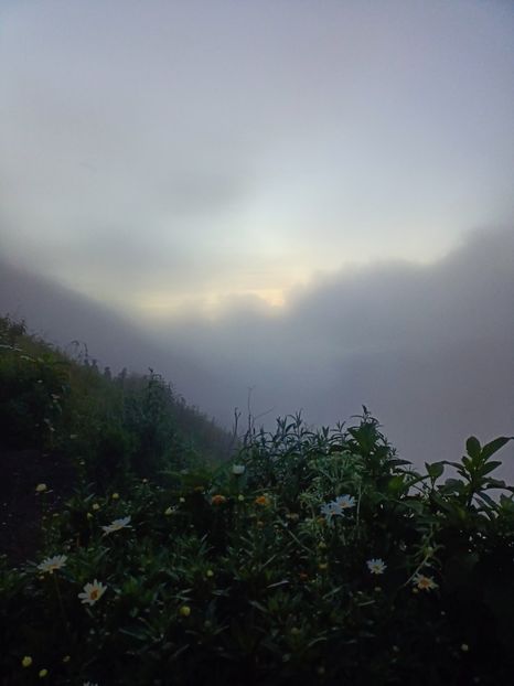 IMG20250523012025 - 6 Bromo