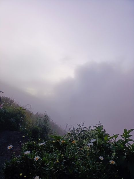 IMG20250523012437 - 6 Bromo