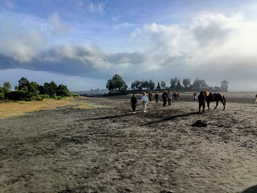 IMG20250523025349 - 6 Bromo
