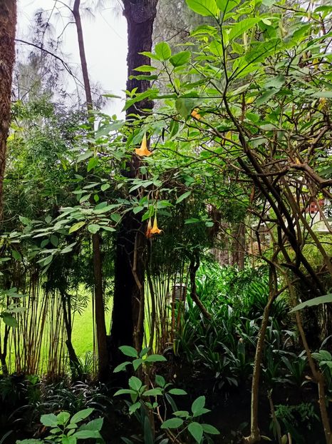 IMG20250523053739 - 6 Bromo