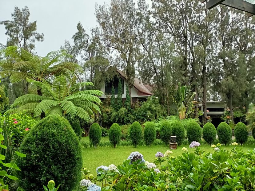 IMG20250523054406 - 6 Bromo