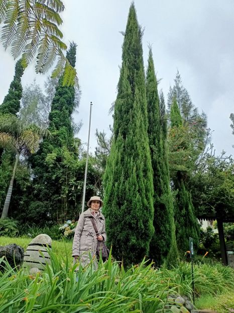 IMG20250523054622 - 6 Bromo