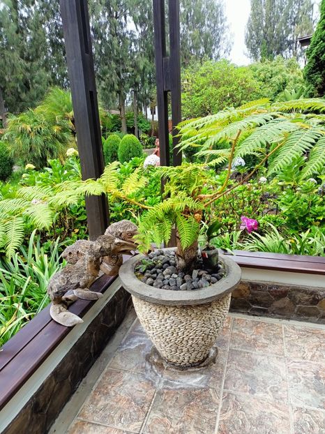 IMG20250523074001 - 6 Bromo