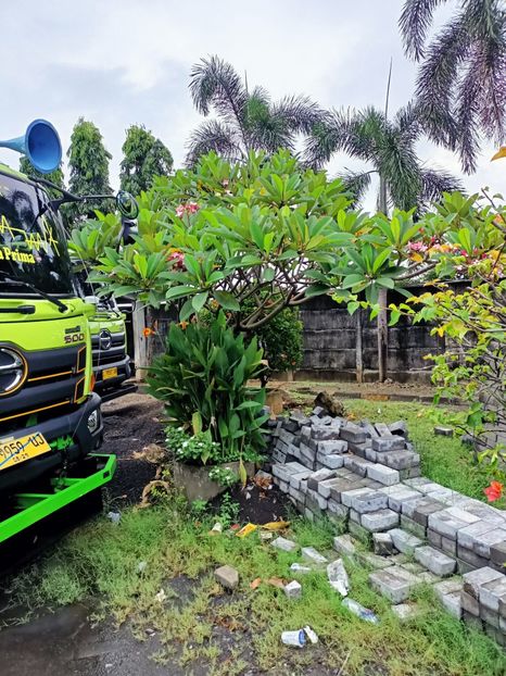 IMG20250523104341 - 6 Bromo