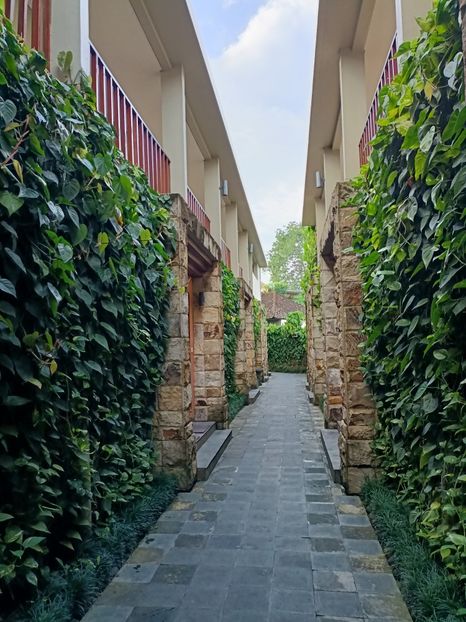 IMG20250524021458 - 7 Ubud