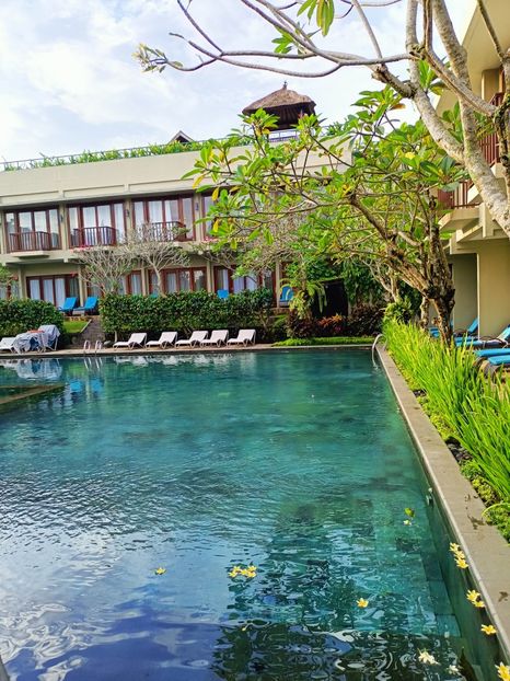 IMG20250524021523 - 7 Ubud
