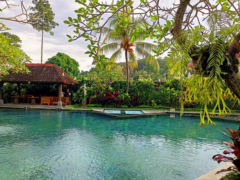 IMG20250524021618 - 7 Ubud
