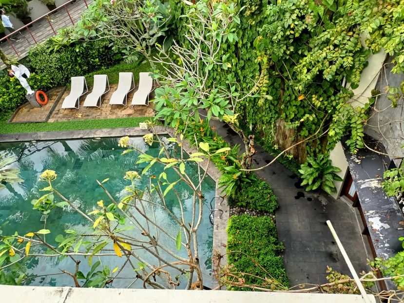 IMG20250524024339 - 7 Ubud