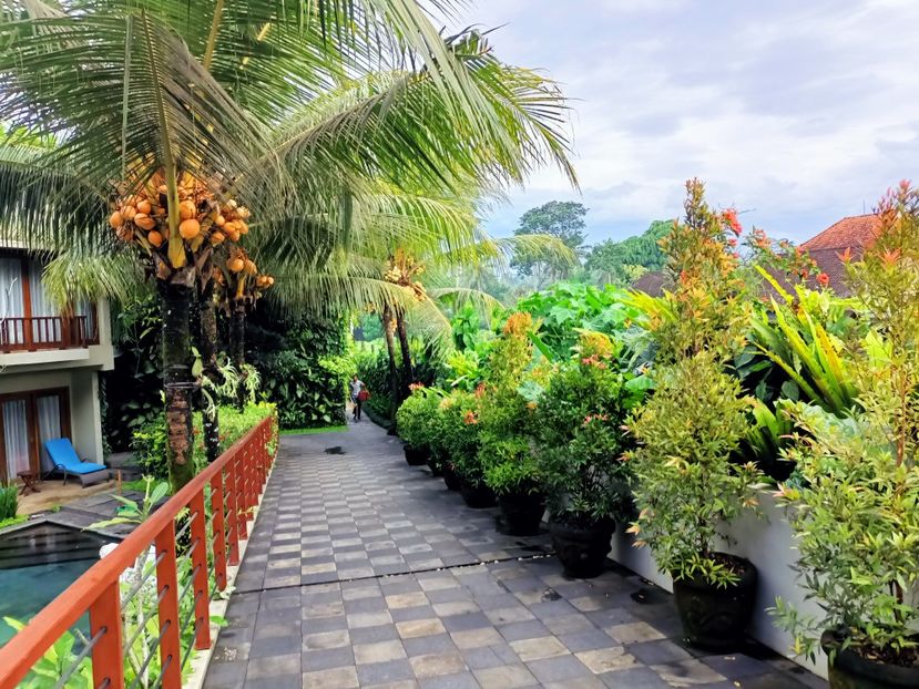 IMG20250524024759 - 7 Ubud