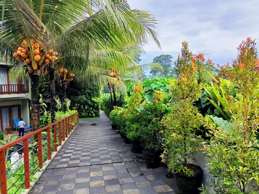 IMG20250524024807 - 7 Ubud