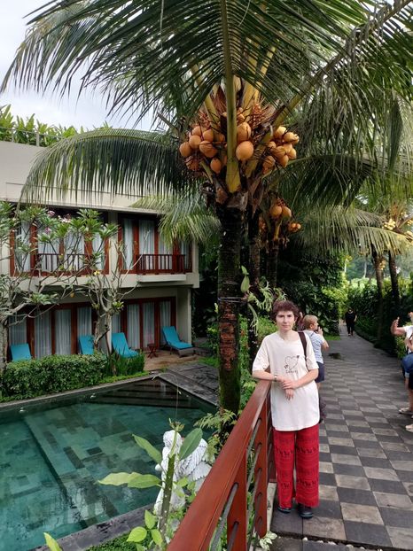 IMG20250524024846 - 7 Ubud