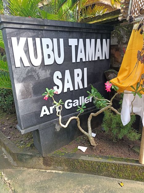 IMG20250524041033 - 7 Ubud