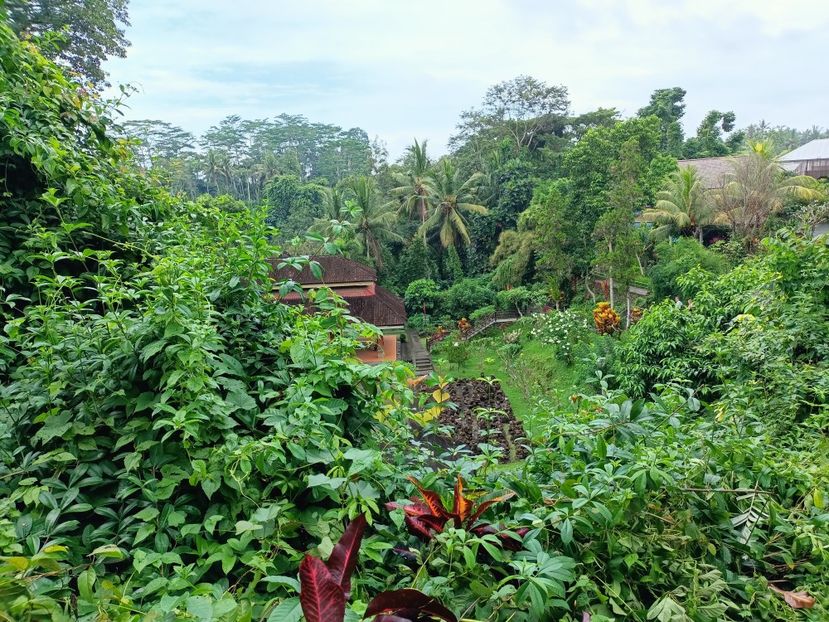 IMG20250524054447 - 7 Ubud