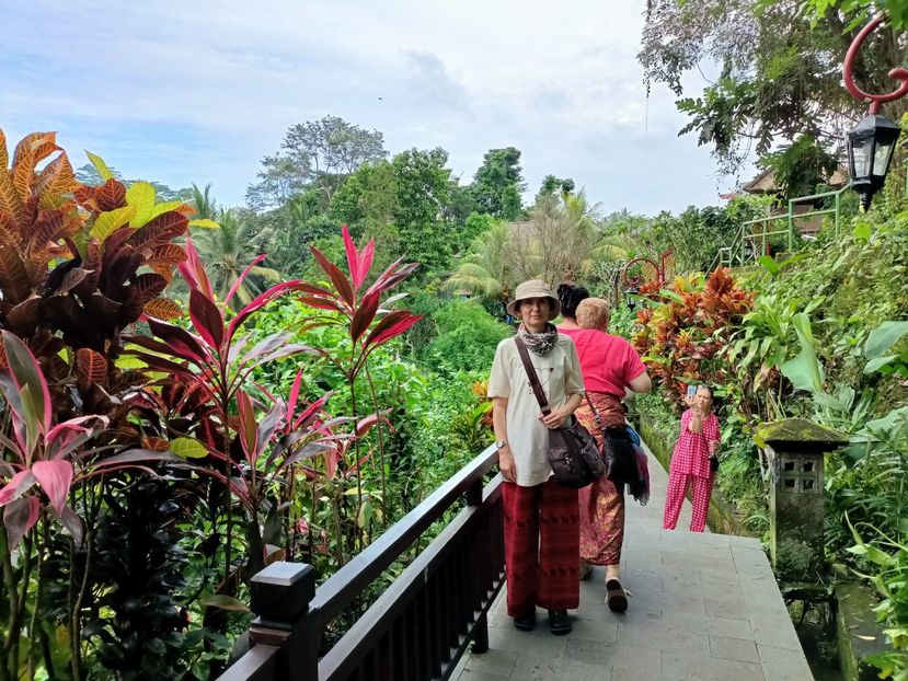 IMG20250524054548 - 7 Ubud