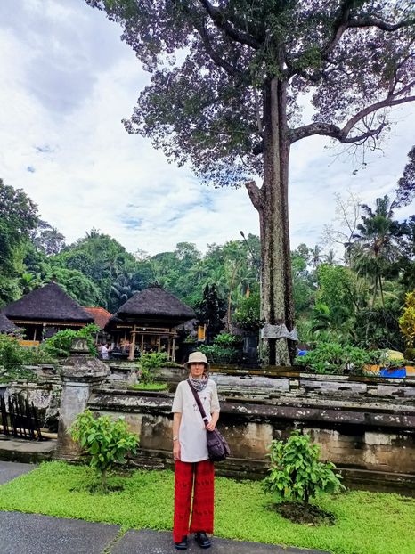 IMG20250524054907 - 7 Ubud