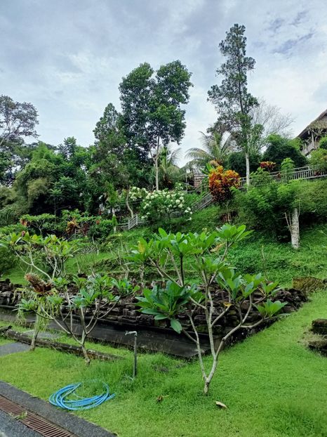 IMG20250524055309 - 7 Ubud