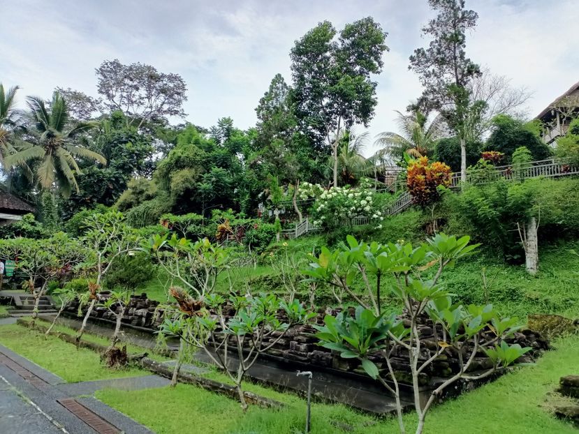 IMG20250524055313 - 7 Ubud