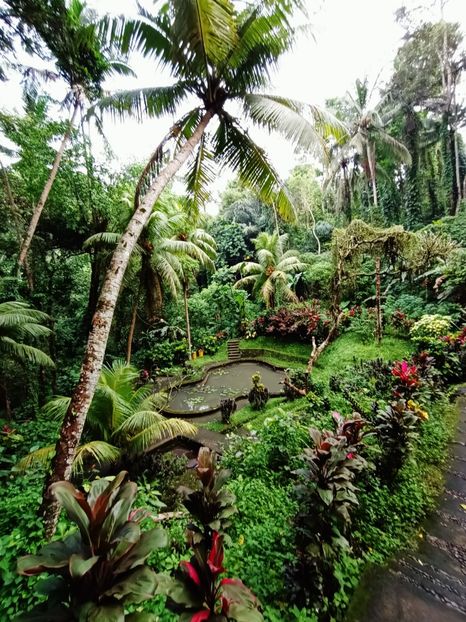 IMG20250524060222 - 7 Ubud