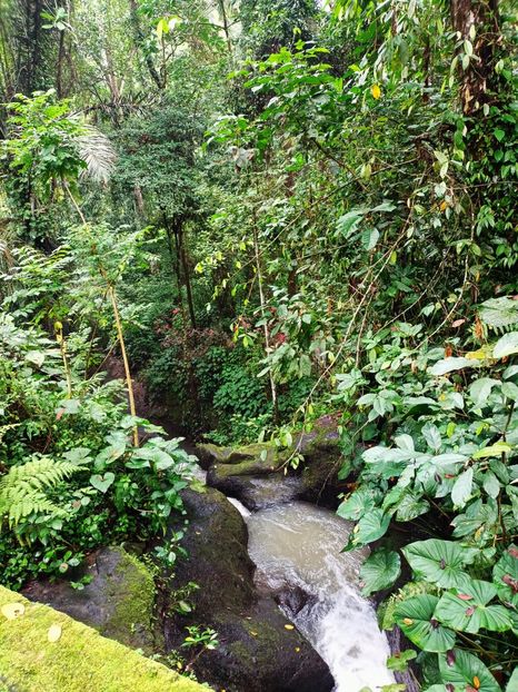IMG20250524060539 - 7 Ubud