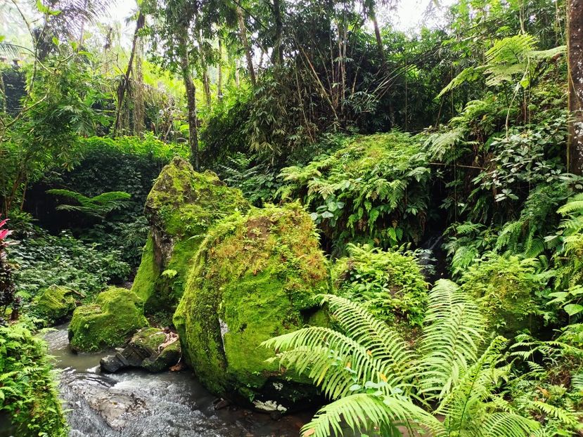 IMG20250524060547 - 7 Ubud