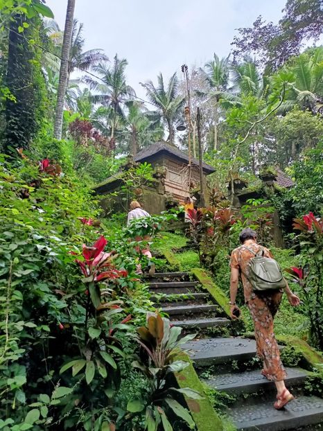 IMG20250524060559 - 7 Ubud