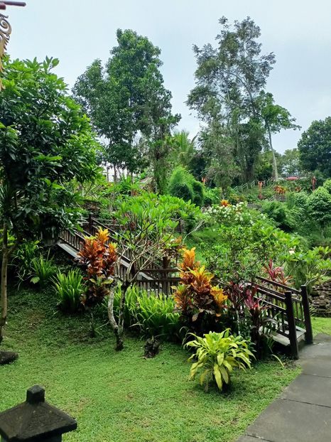IMG20250524061147 - 7 Ubud
