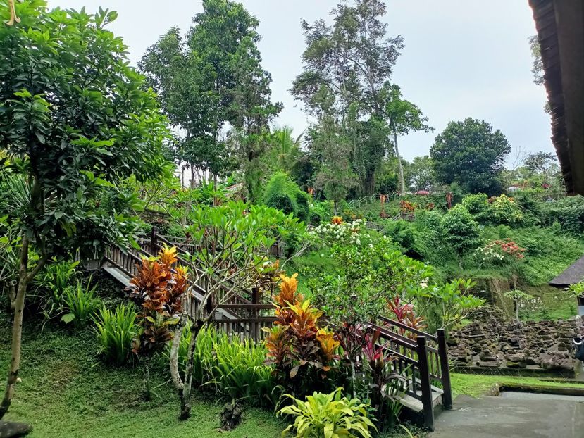 IMG20250524061153 - 7 Ubud