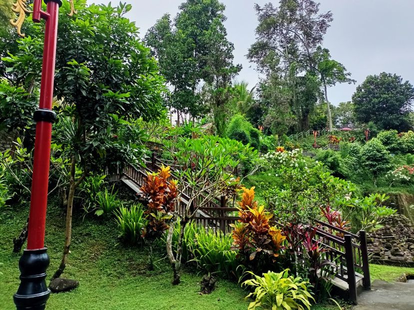 IMG20250524061155 - 7 Ubud