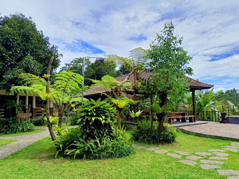 IMG20250524072234 - 7 Ubud