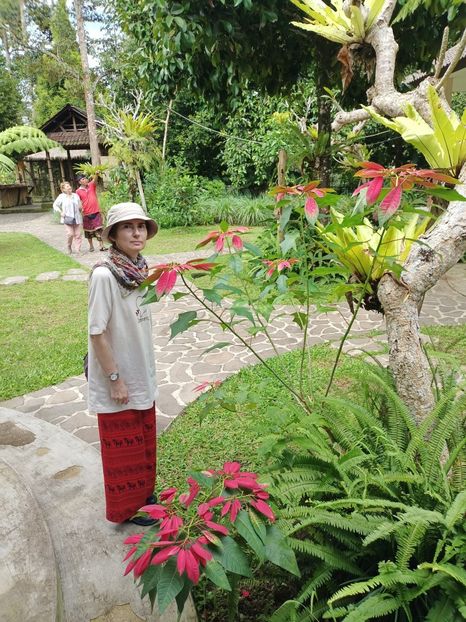 IMG20250524075641 - 7 Ubud