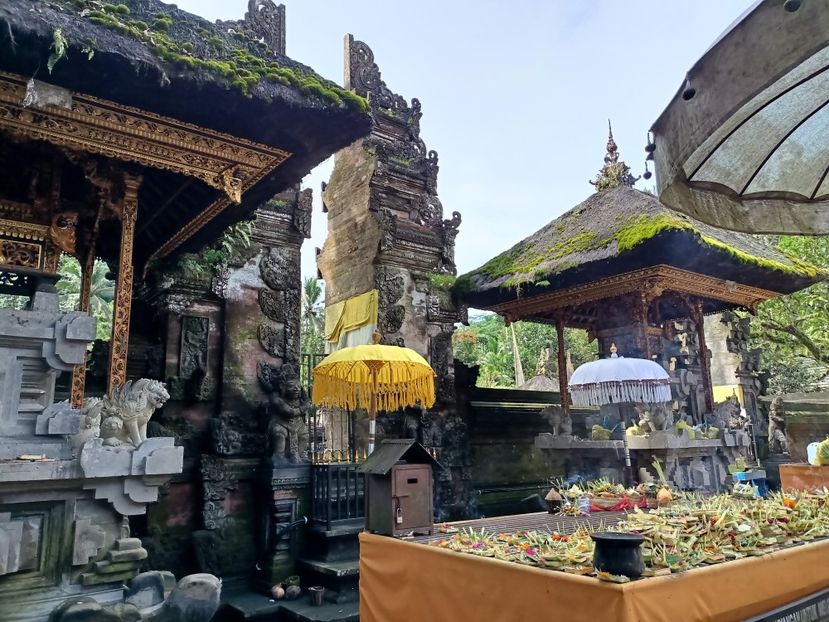 IMG20250524083544 - 7 Ubud