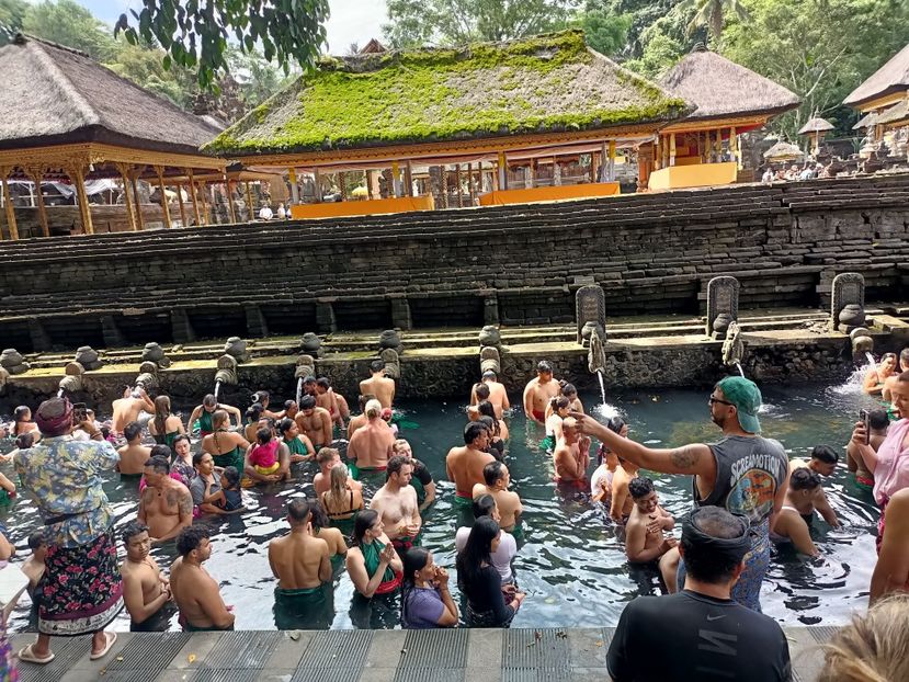 IMG20250524083619 - 7 Ubud