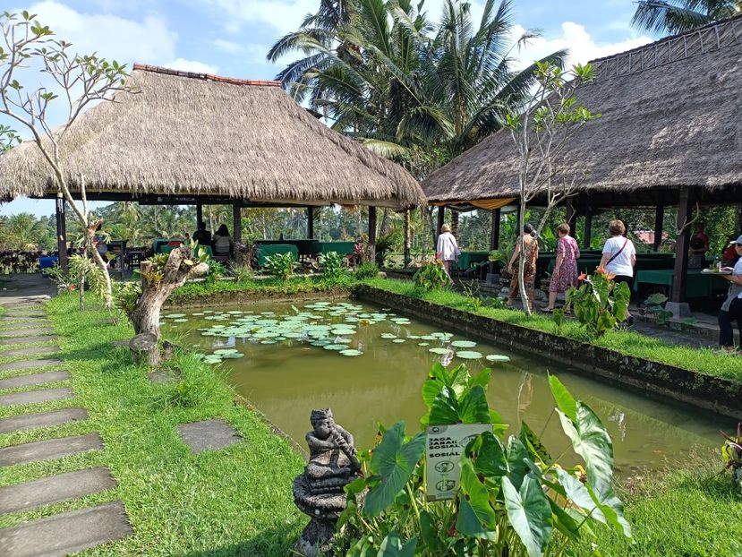 IMG20250524094216 - 7 Ubud