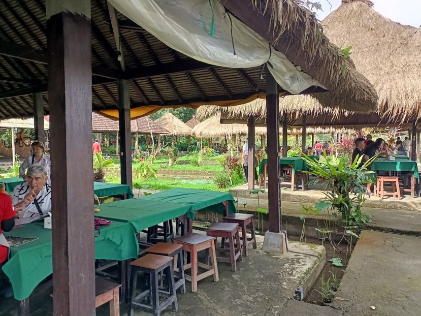 IMG20250524095007 - 7 Ubud