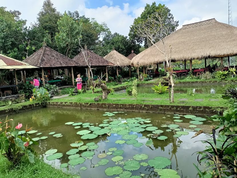 IMG20250524103308 - 7 Ubud