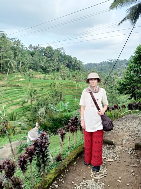 IMG20250524112744 - 7 Ubud