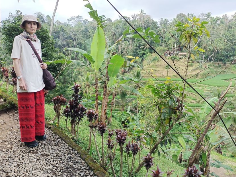 IMG20250524112823 - 7 Ubud