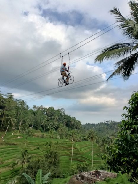 IMG20250524112832 - 7 Ubud