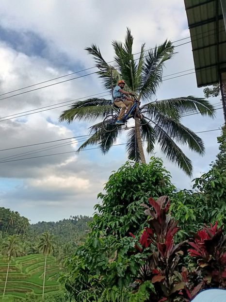 IMG20250524112834 - 7 Ubud