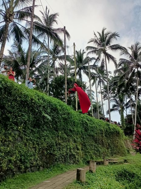 IMG20250524113023 - 7 Ubud