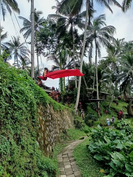 IMG20250524113137 - 7 Ubud