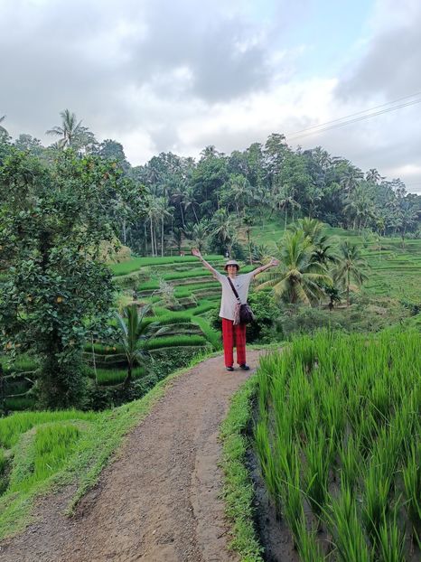 IMG20250524114047 - 7 Ubud