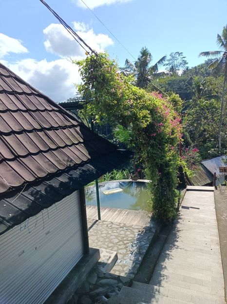 IMG20250525045145 - 7 Ubud