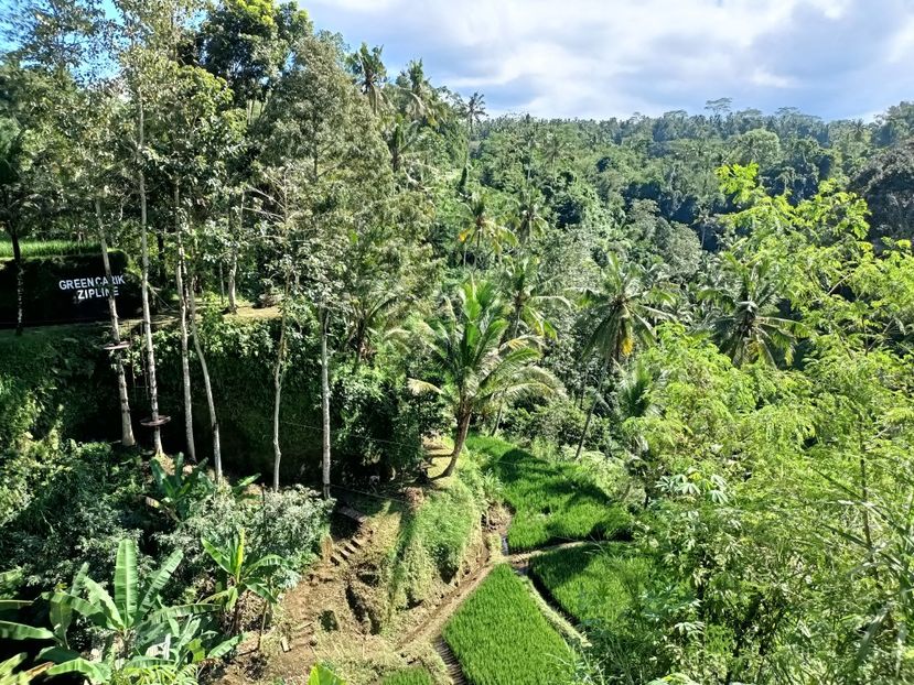 IMG20250525045248 - 7 Ubud