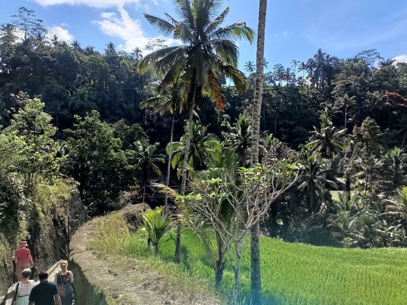 IMG20250525045746 - 7 Ubud