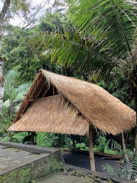 IMG20250525050033 - 7 Ubud