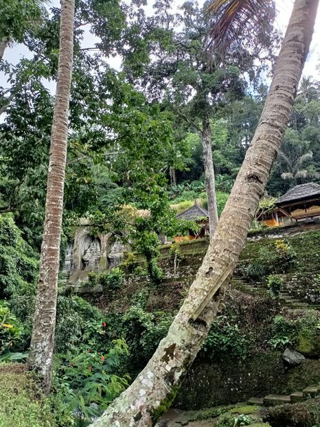 IMG20250525050440 - 7 Ubud