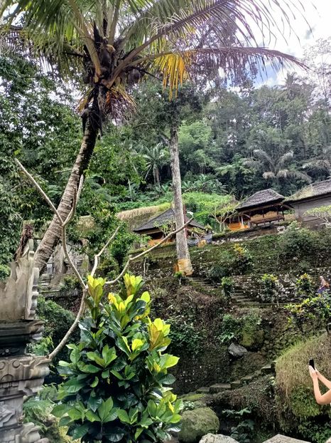 IMG20250525050452 - 7 Ubud
